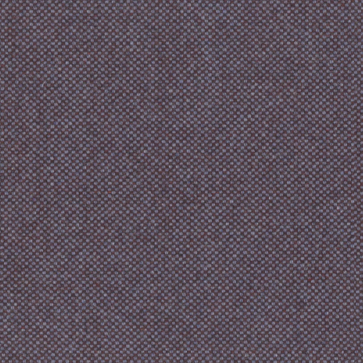 Fig Skin