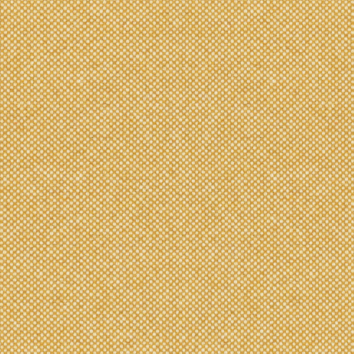 Honey Gold