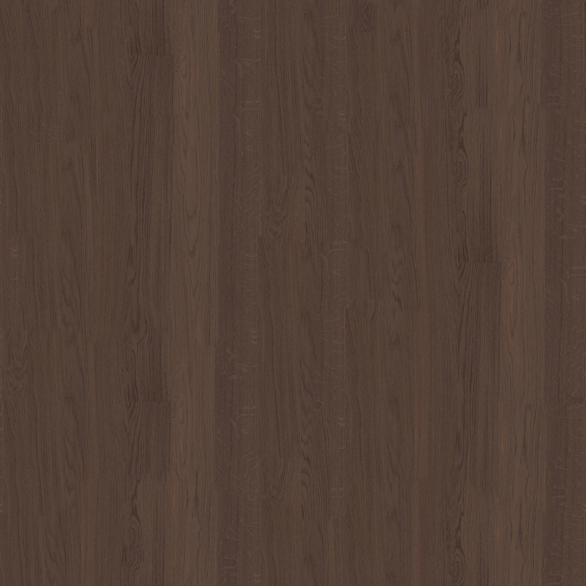 Solid Oak Chocolate